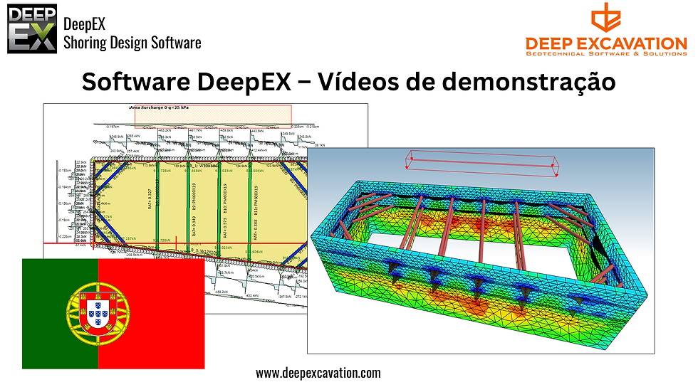 Software DeepEX – Vídeos de demonstração.png