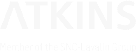 Logo partenaire deepex kleinfelder