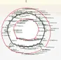 Strukturelle Kapazität von kundenspezifischen Tunnelformen in DeepEX